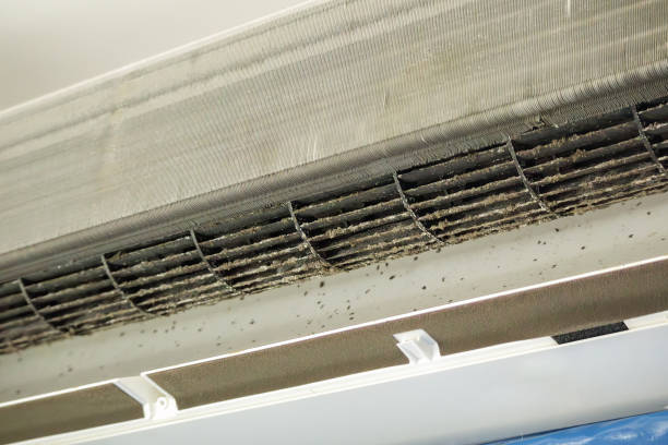 Best Air Duct Cleaning Near Me  in Clemmons, NC